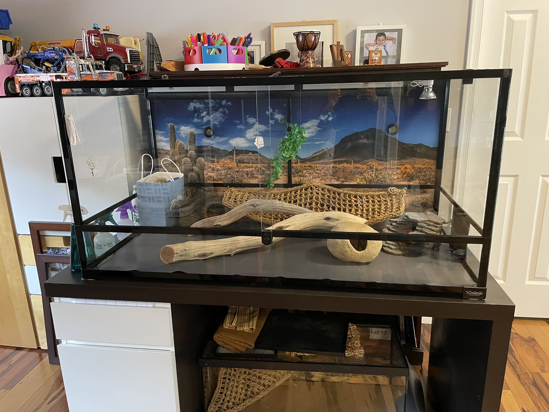 Complete High Quality Reptile Terrarium Setup