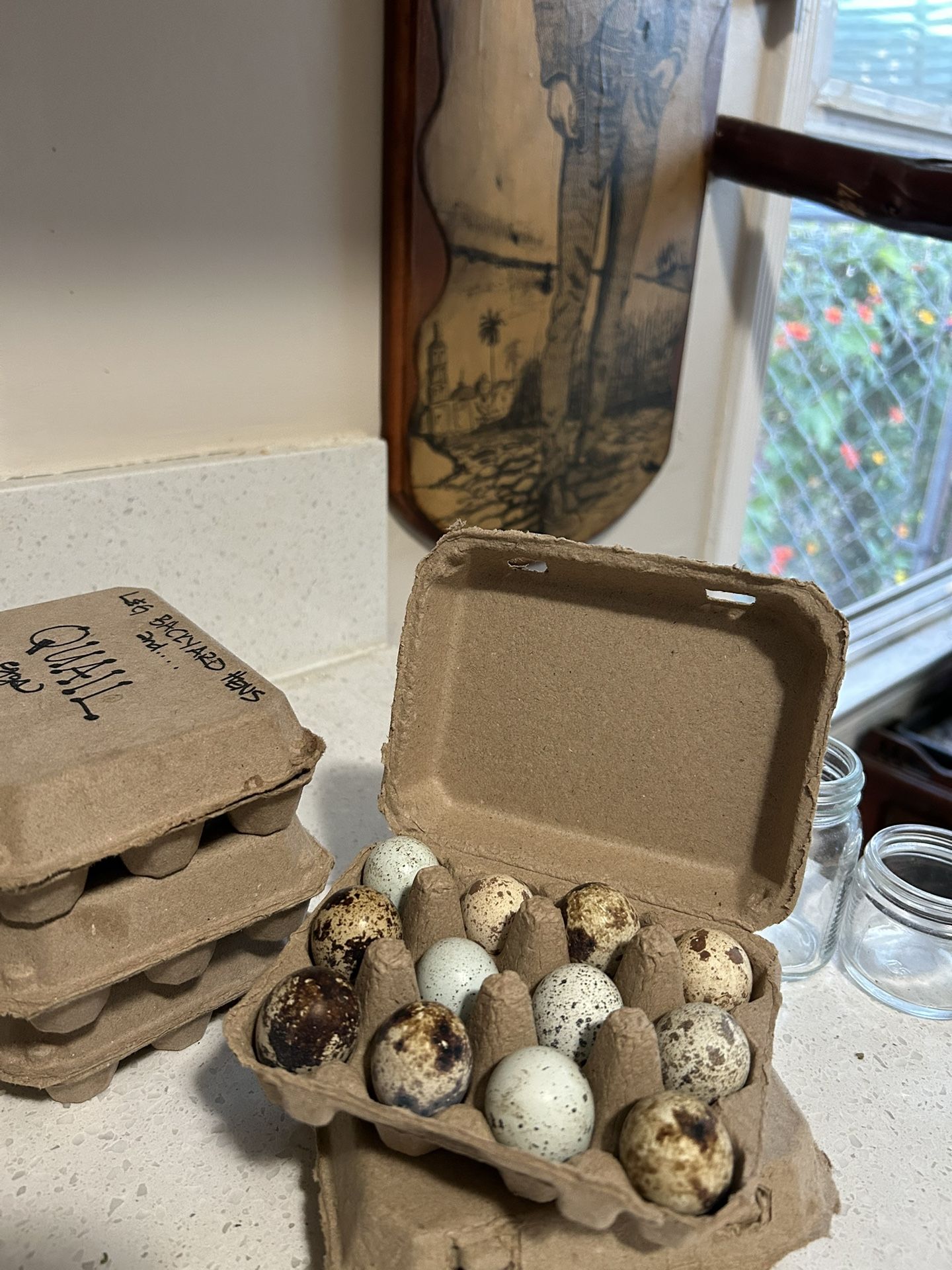 Quail Eggs
