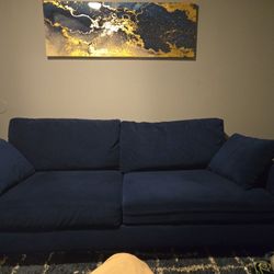 Blue Couch