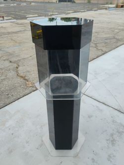 fish aquarium