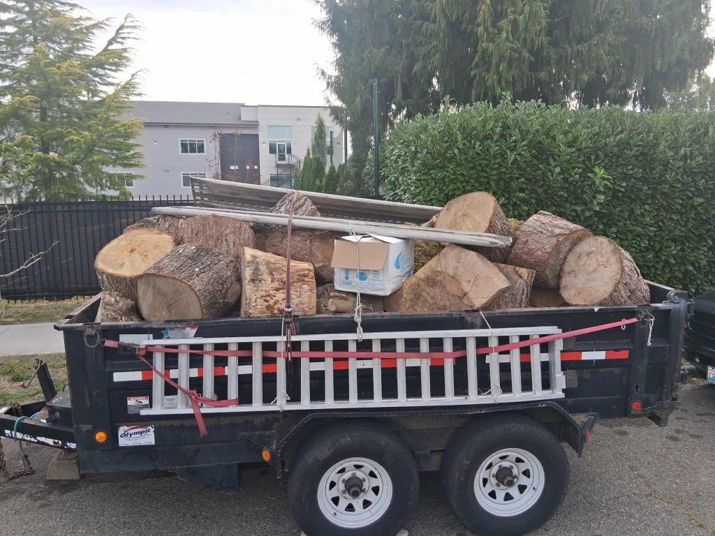 Trailer FULL Of Tree Rounds!!!