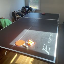 Ping Pong Table 