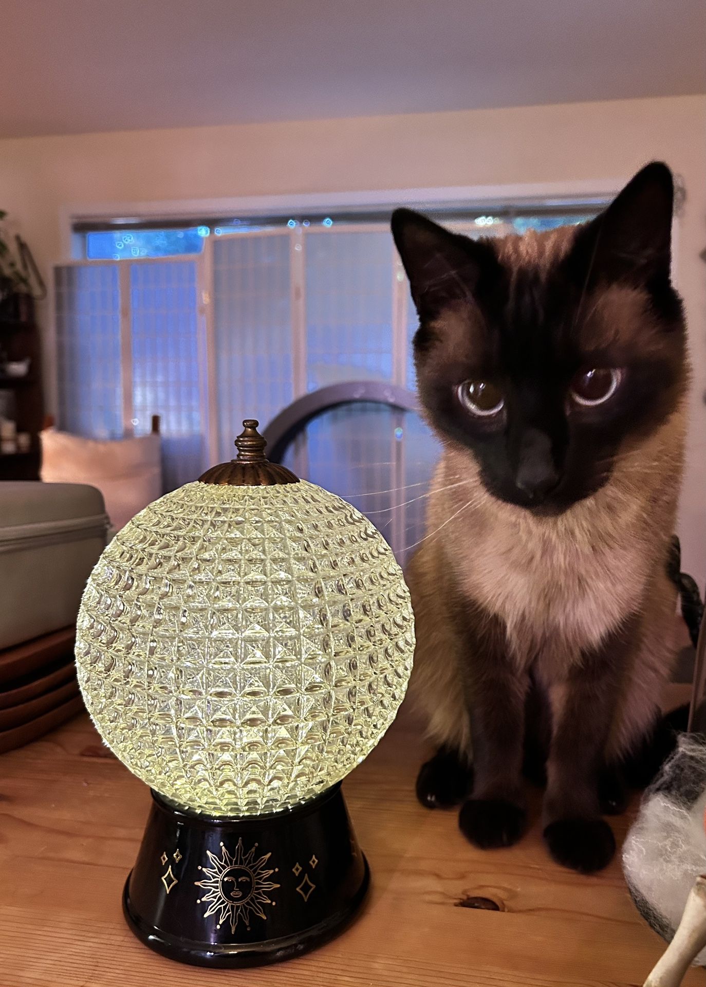 One Of A Kind, Crystal Ball Orb Was Up Cycled From Vintage Globe Light Fixture