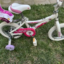 Bike With Doll Seat 