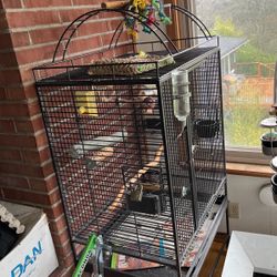 Bird Cage