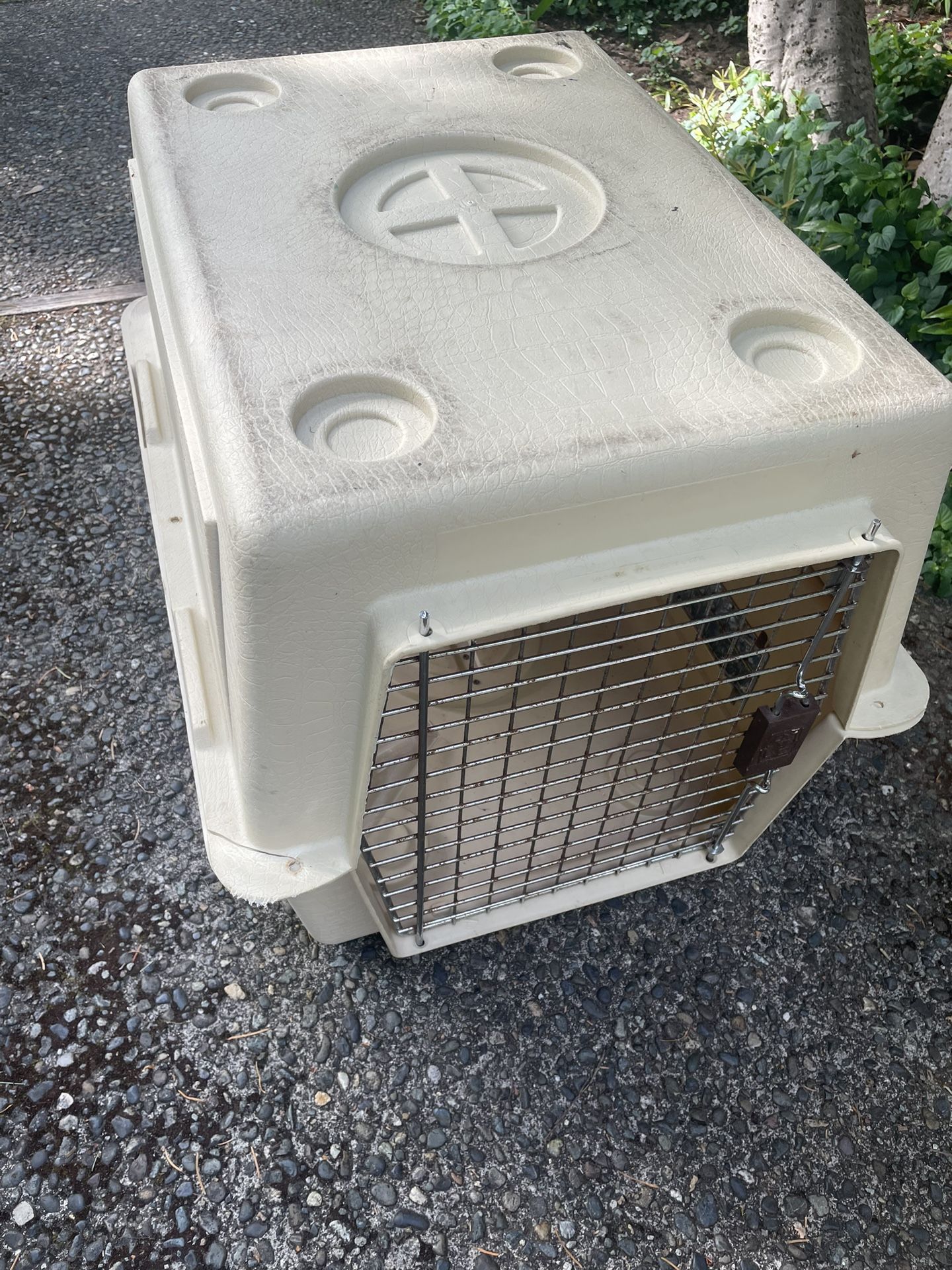 Kennel Medium Size