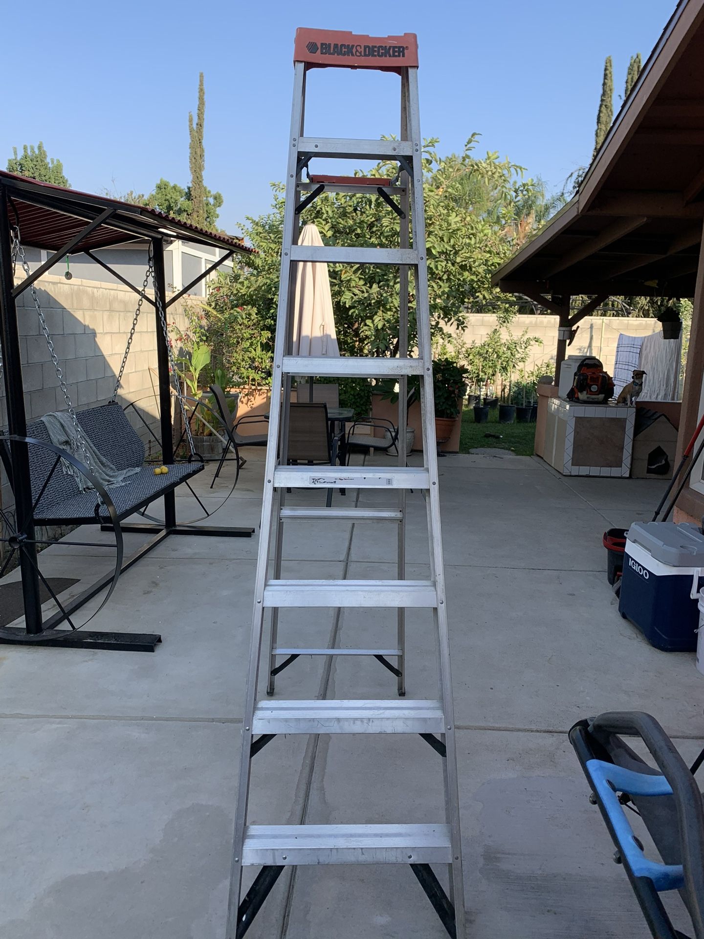 Black & Decker Ladder