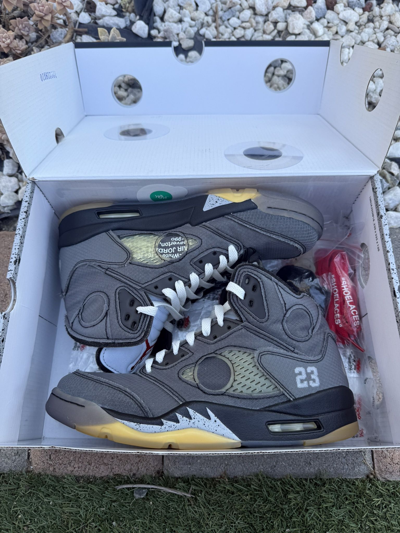 Jordan 5 Muslin