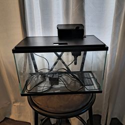 Fish Tank 