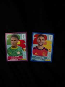 FIFA world cup stickers