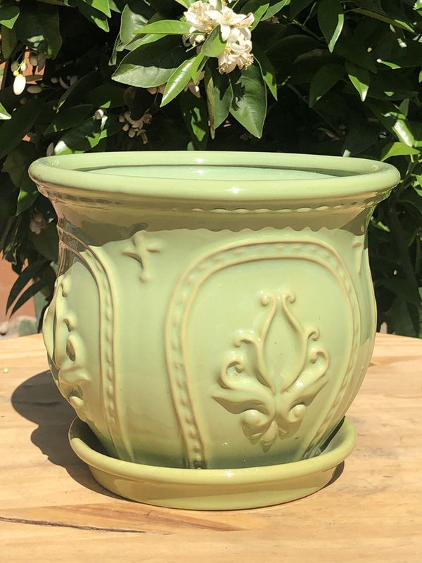 Plant pot for Sale in Ontario, CA - OfferUp