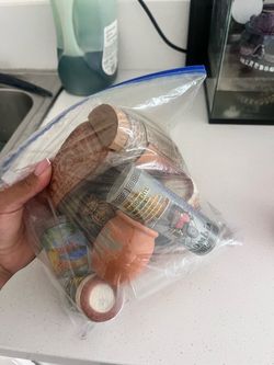 12 shot cups