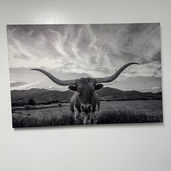 Bull canvas
