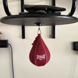 Everlast Speed Bag Kit