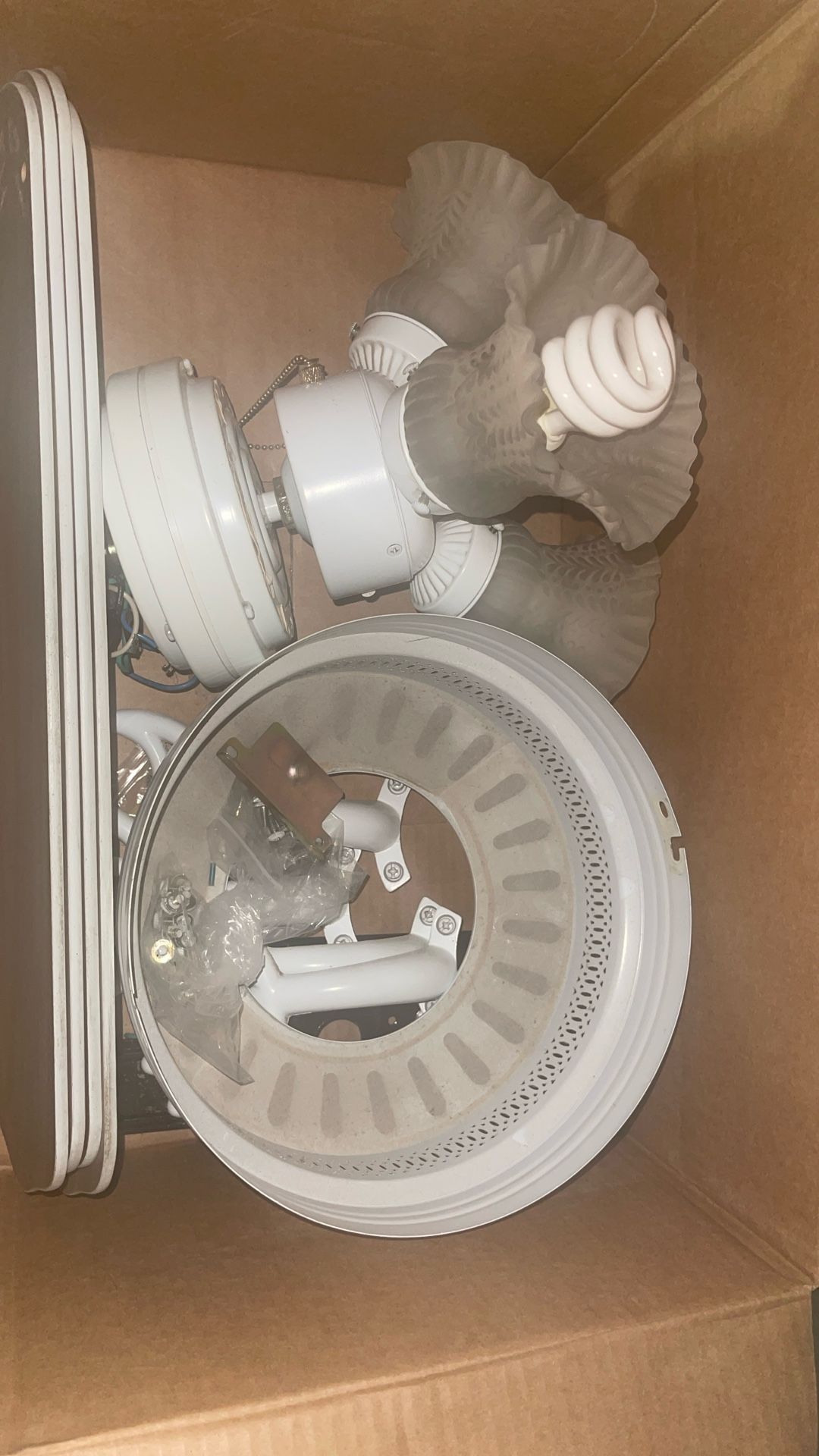 4 Matching Ceiling Fans – Fully Working – Recently Removed for Home Upgrade – $100 for All