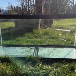 75 Gallon Tank With Supplies (Will Deliver)