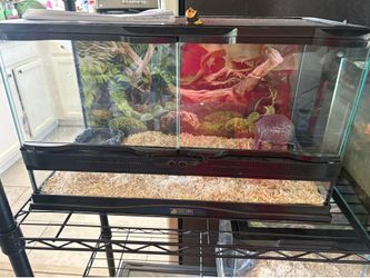 Zoo Med terrarium 25 gallon