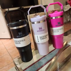 Stanley Flip Straw Tumbler 30 0z Brand New 