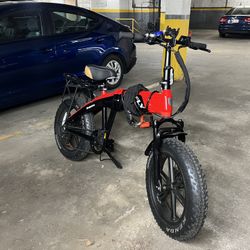 Fly E-bike "DOLPHIN"