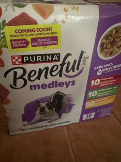 Dog food