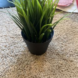Artificial Grass Plant in Black Pot
