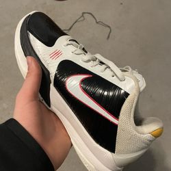 alternate bruce lee kobe 5