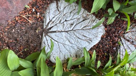 One of a kind stepping Stones