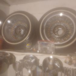 Gold Nipple Roadsters 14 Inch