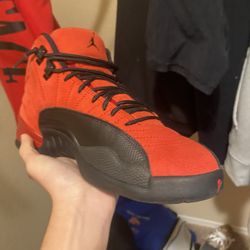 Jordan retro 12