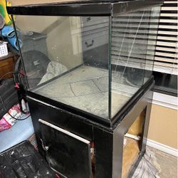 90gallon cube fish tank