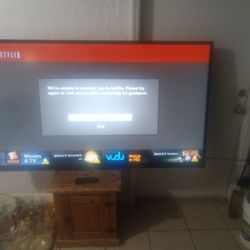 Vizio Plasma Television