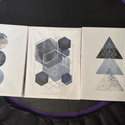 3 16x20 Canvas Decorative Art