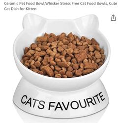 Cat Bowl / Plato Para Gato