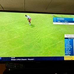 42” Panasonic