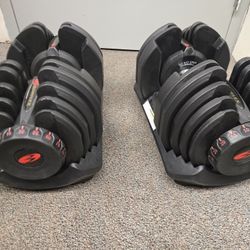 Bowflex 1090 Dumbbells