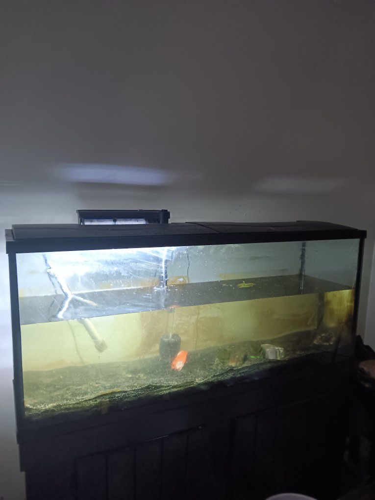 55 G TOP FIN W/ STAND
