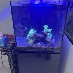 25 Gallon Fish Tank With Light And Pump 
