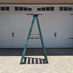 Werner 6 Foot Fiberglass Ladder 