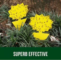 Garsum Fruit Fly Trap Yellow Sticky Fungus Gnat Killer for Indoor and Outdoor Plant Insect Catcher for White Flies,Mosquitos,Fungus Gnats,Flying Insec