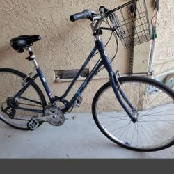 Lady Giant Cypress Hybrid Comfort 