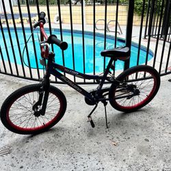 Schwinn Falcon Kids Bike