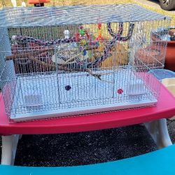 bird cage 