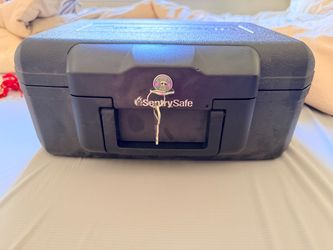 SentrySafe Security Box