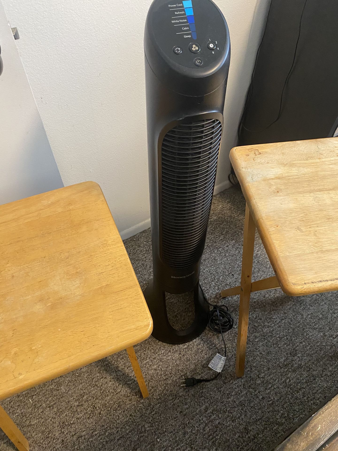 Fan & 2 Wood Folding Tray Tables