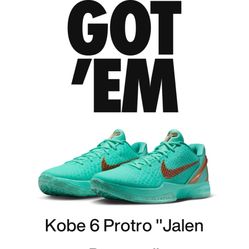 Kobe 6 Porto “Jalen Brunson”