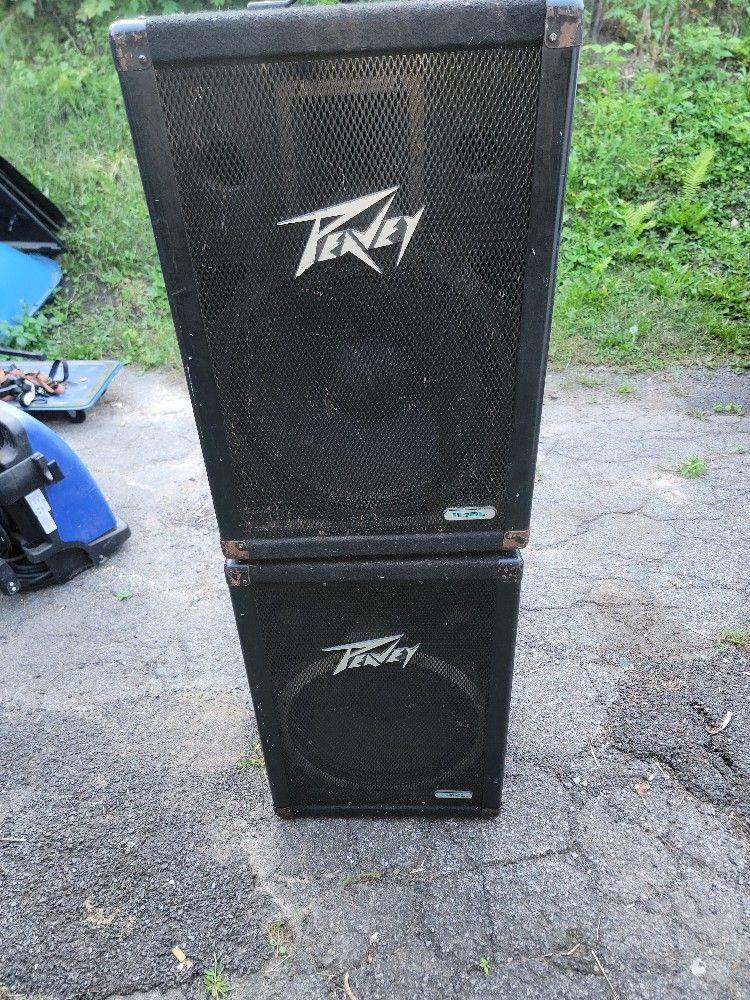 Peavey 115DL THE WORKING MAN'S SPEAKERS