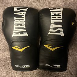 Everlast 14 Oz Gloves