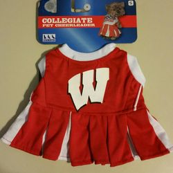 Wisconsin Pet Cheerleader Dress - Small