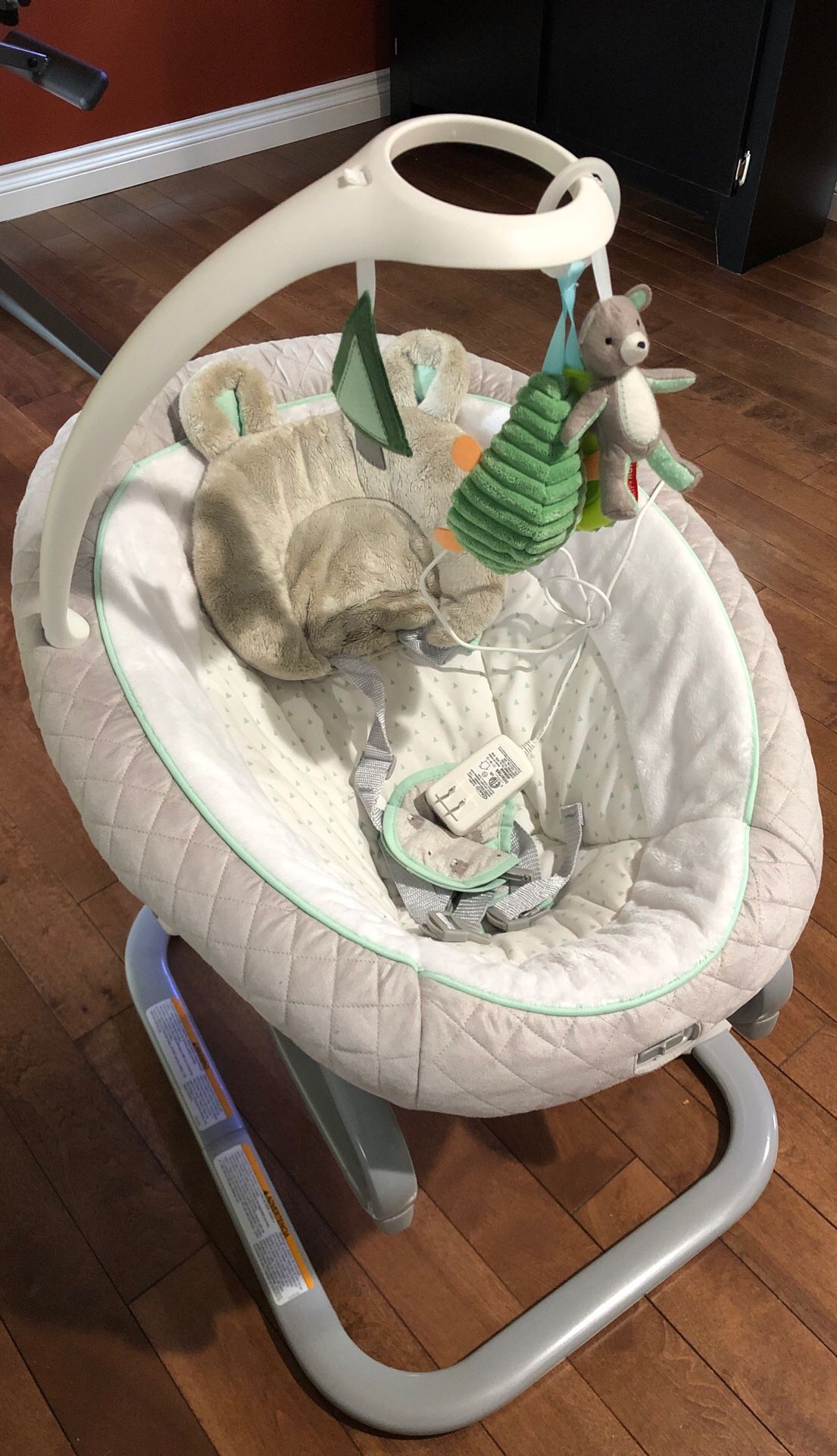 Graco 16 motion swing very clean