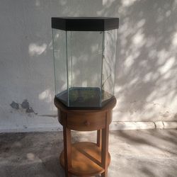 20 Gallon Aquarium and Furniture 